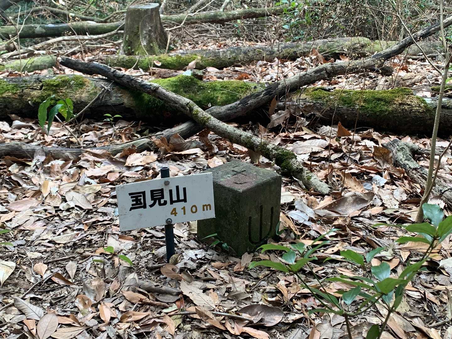 とうちゃこ。
見晴らしのない国見山。