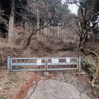 下りはこちらから下りてきました🚶‍♀️