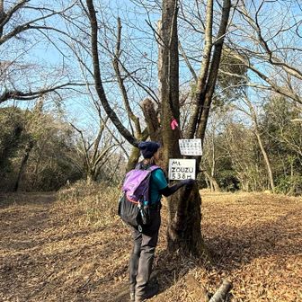象頭山（ぞうずやま）山頂❣️
撮影用のプレートがあります♪