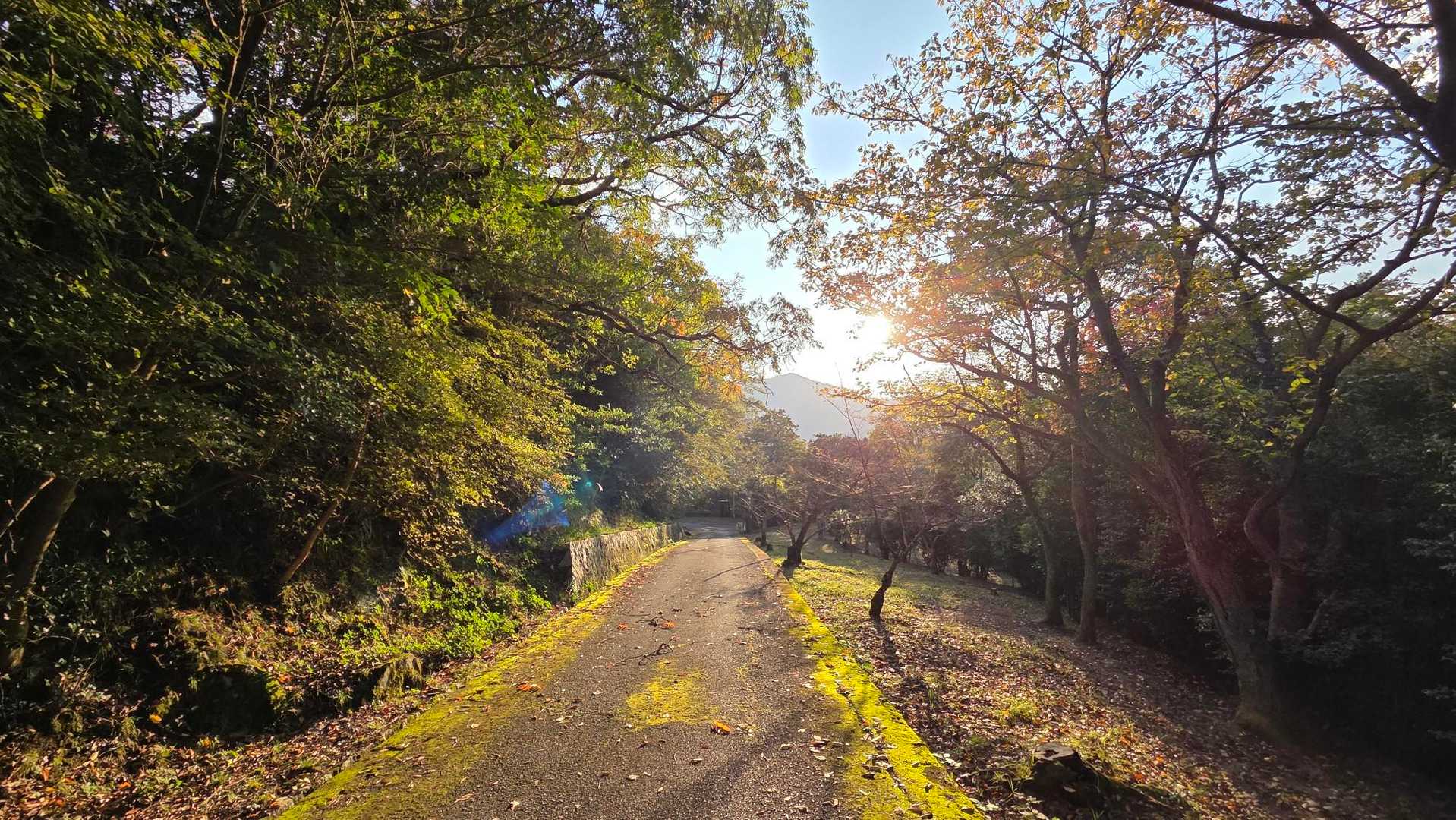 なんか、秋〜🍁
