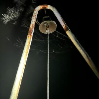 カーン
今年もお世話になりました