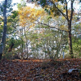 山頂には何もなかった。