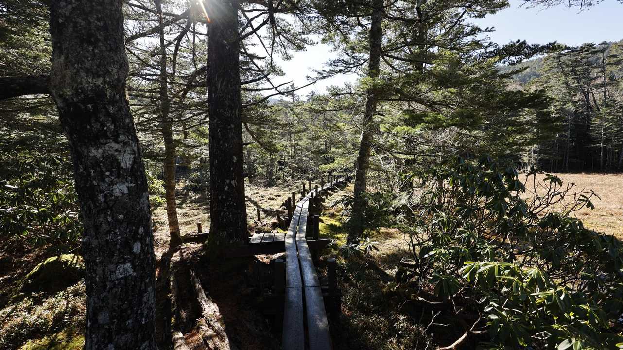 北八ヶ岳縦走（にゅう・東天狗岳・西天狗岳・中山） の写真 11