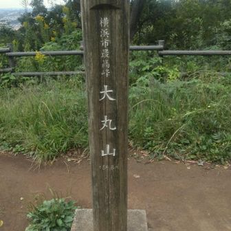 横浜で一番高いお山