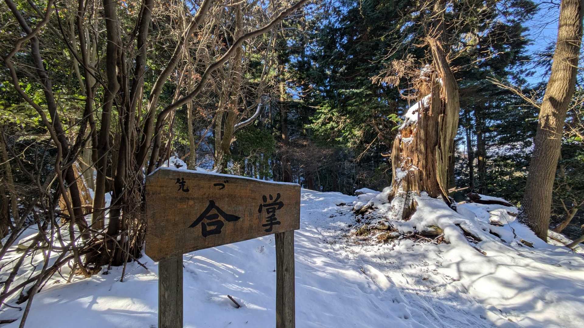 合掌🙏