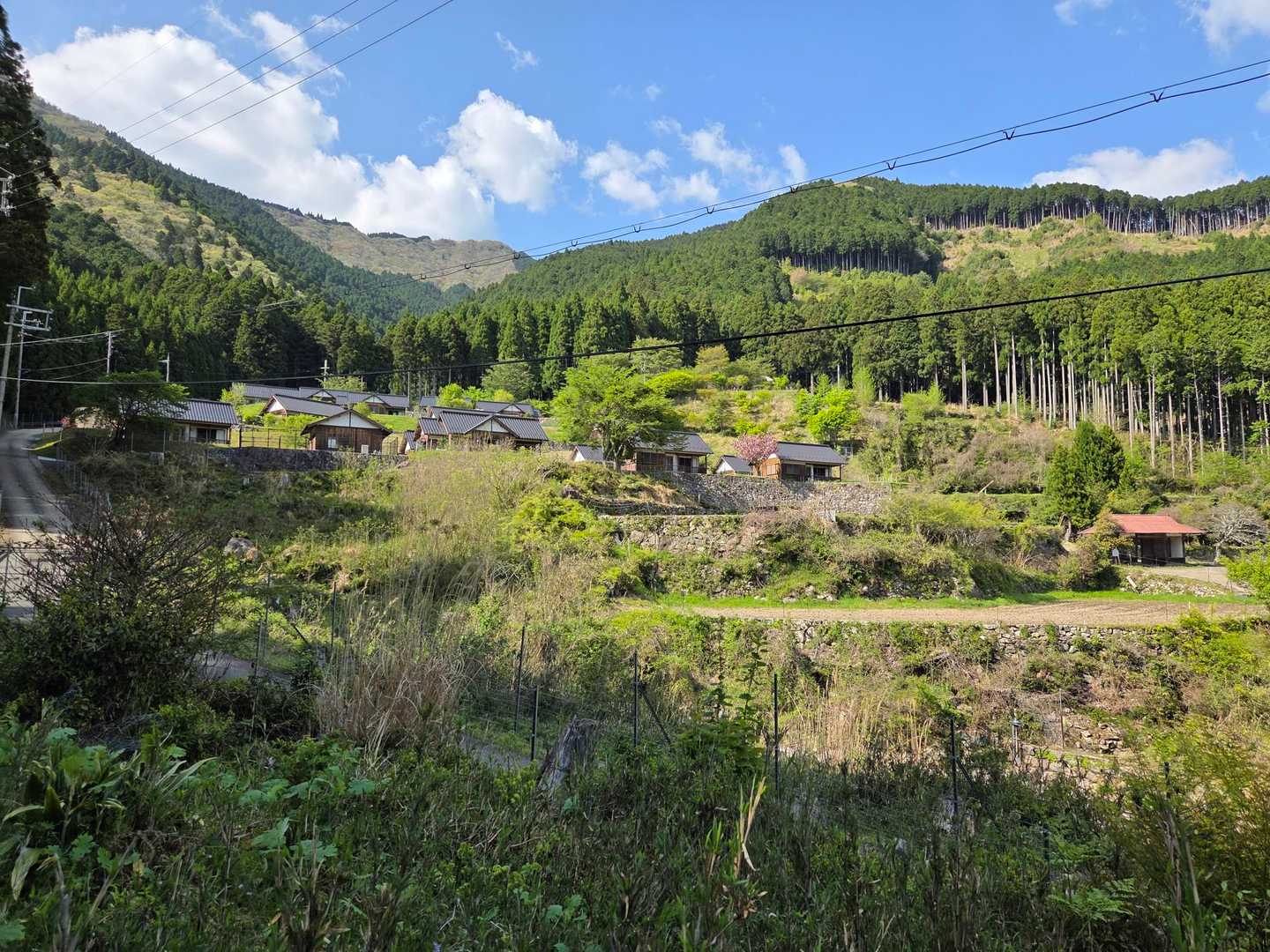 しかし…
長閑な風景🤩を楽しみながら歩けます✊️