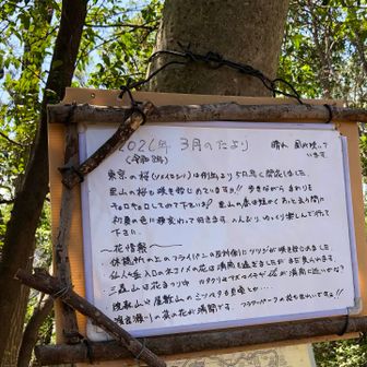 近隣のお花情報いっぱい　
うれしいですね