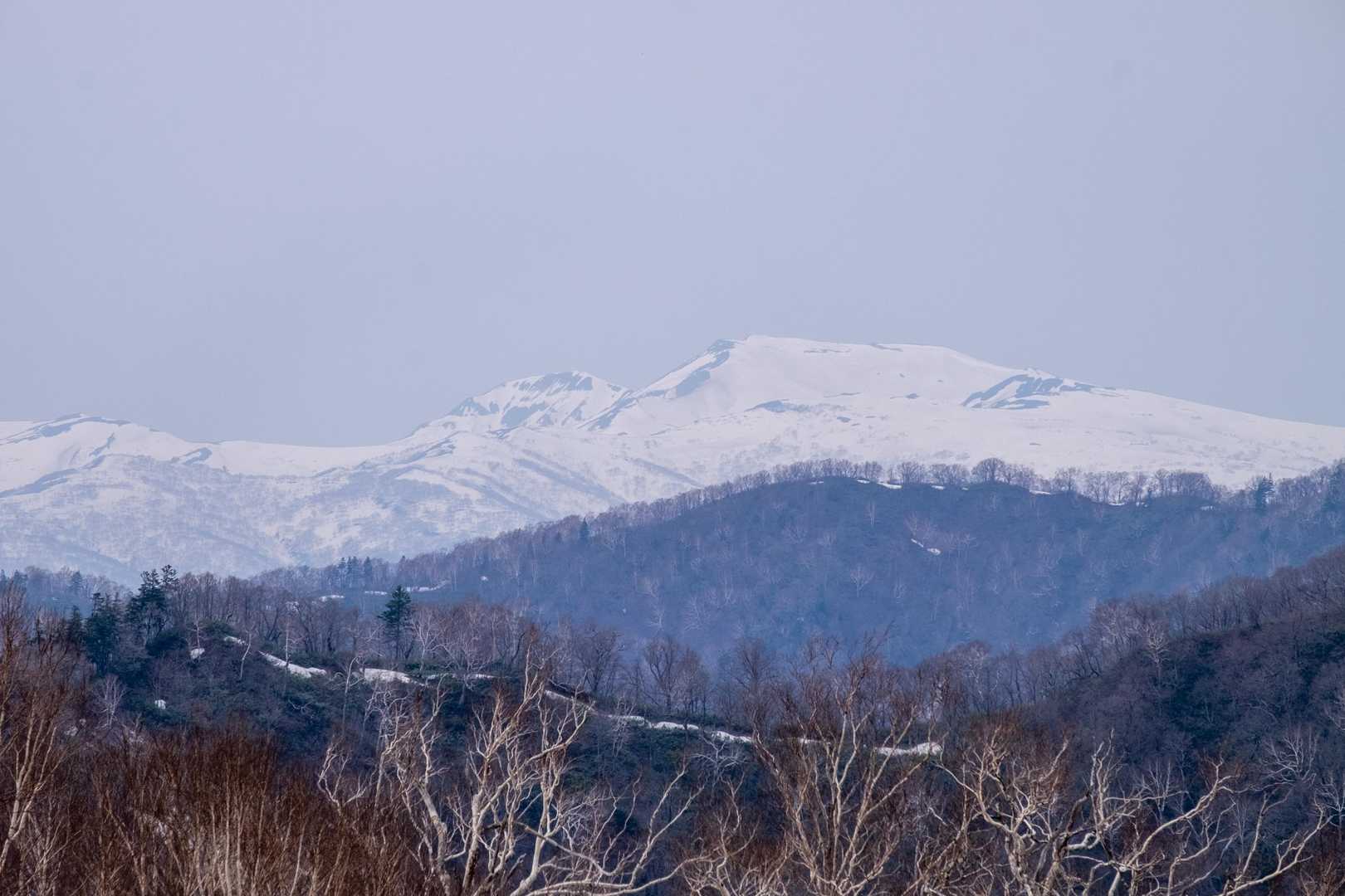 暑寒別岳の雪はここ数日で一気に溶けてます。