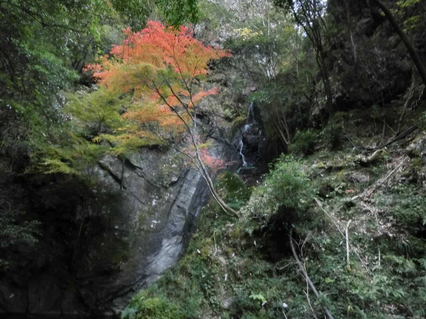 南天の滝。景行天皇が沐浴した伝説がある
