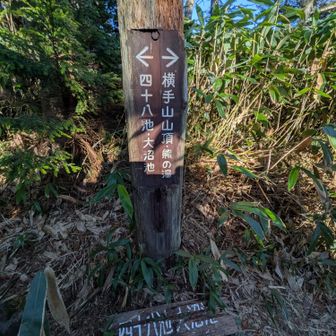 横手山にも行ってみたかったけど、時間切れです😂残念😞