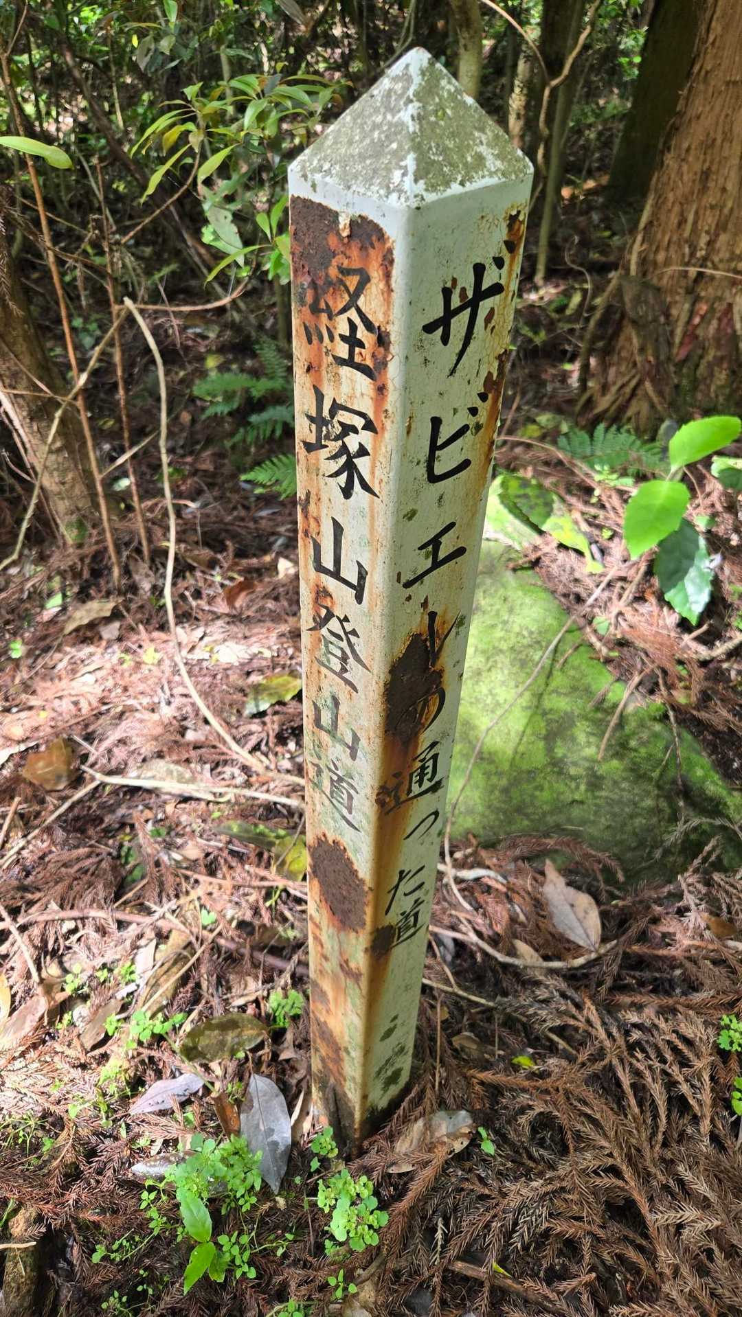 ザビエル推し