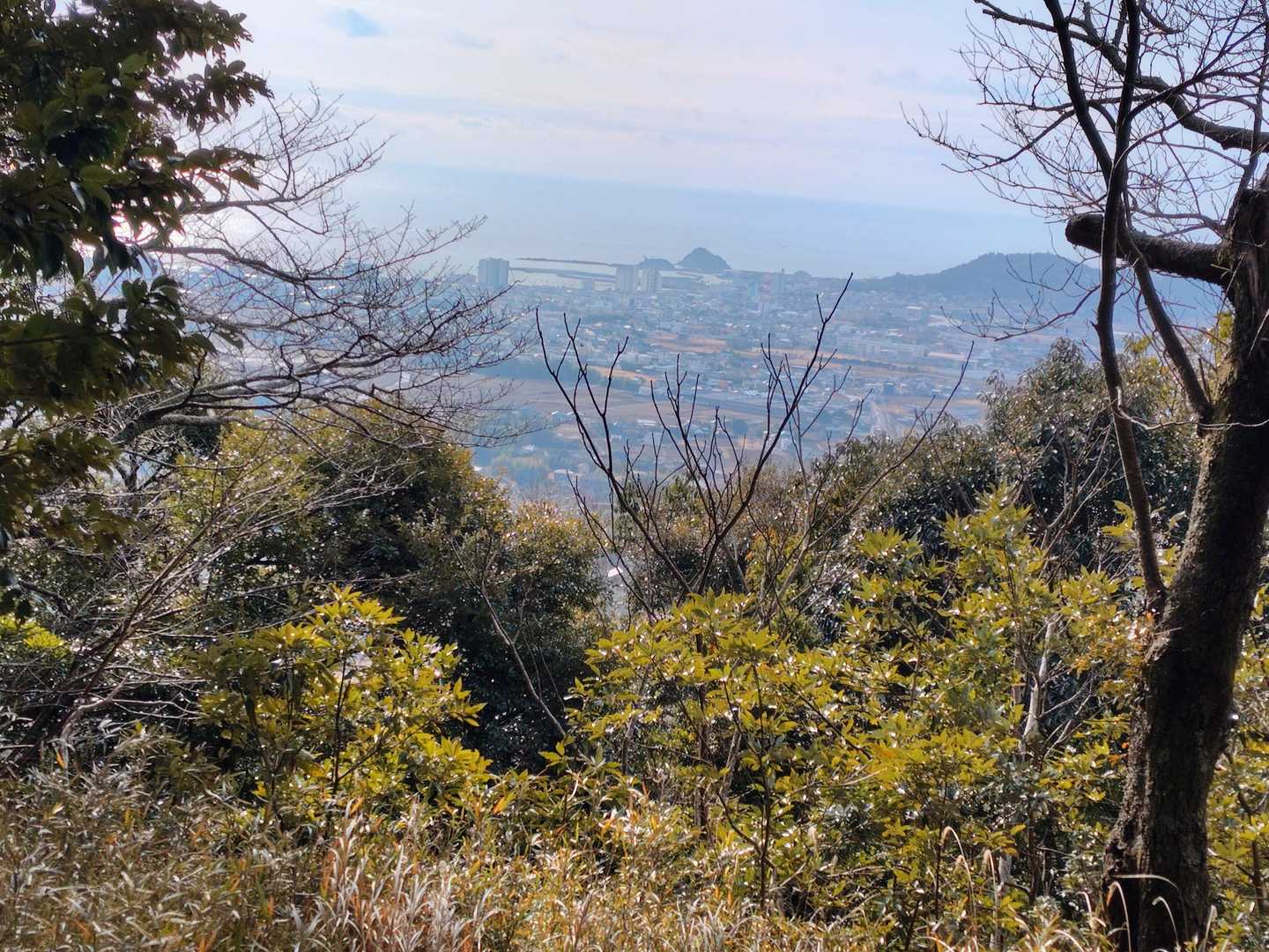 太平洋と市街地方面が少し見えます😄
