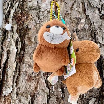 嬉しい再会。あなたのお名前は…