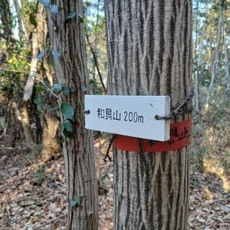 ⑩和具山