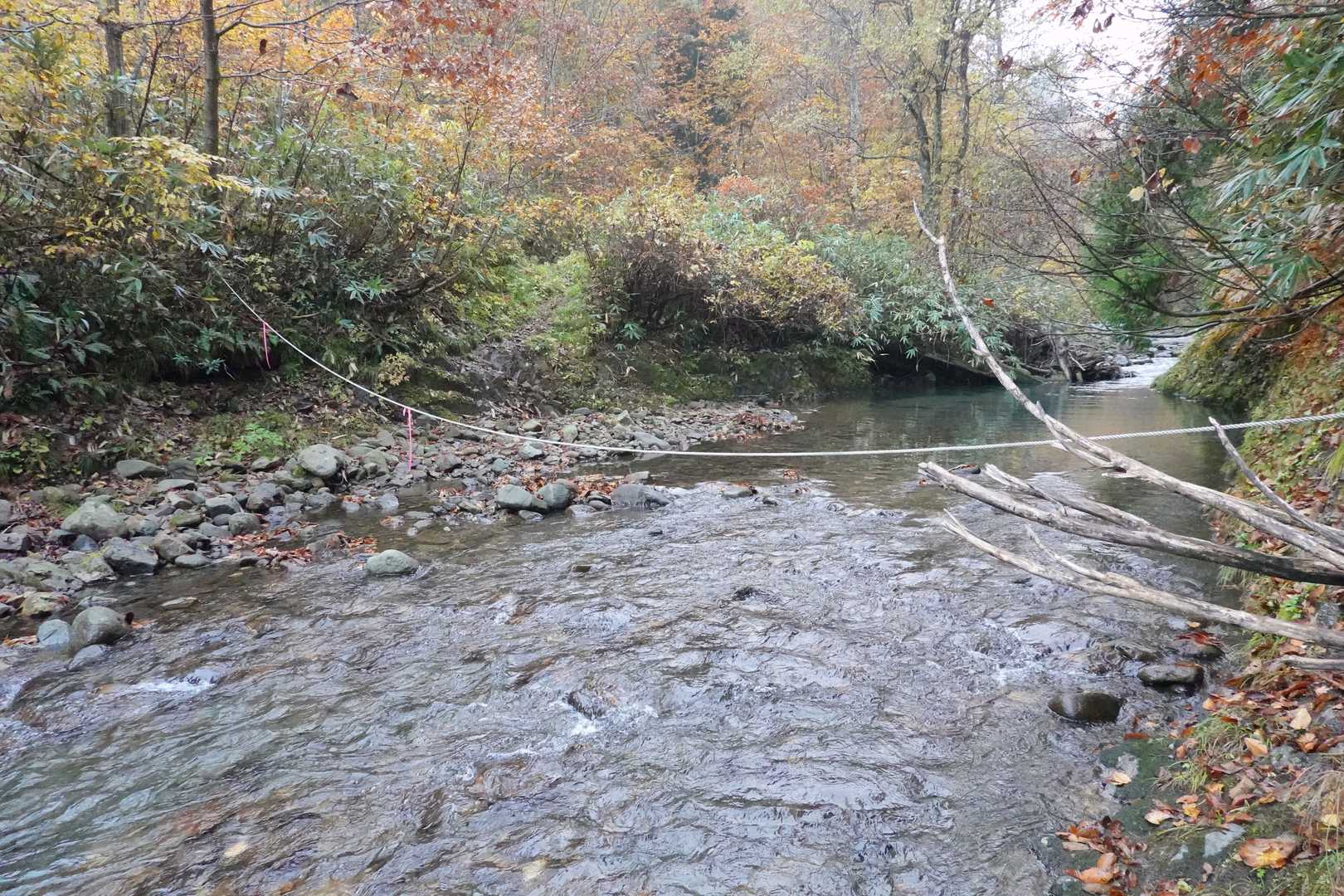 加無山登山口-男加無山 往復コースの写真