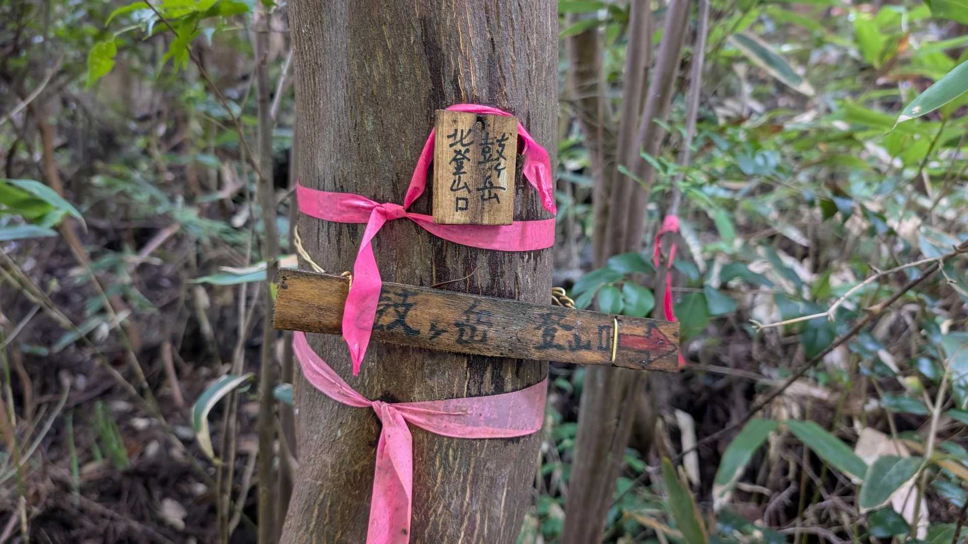 鼓ヶ岳  登山口。
