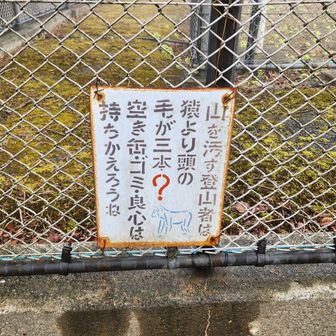 鉄塔が二本、毛が三本？　川木沢ノ頭に到着。