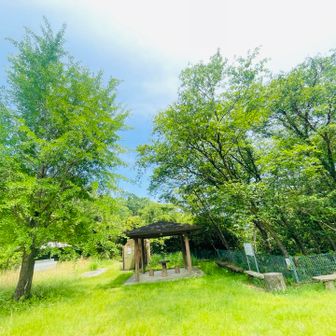 トイレもあり