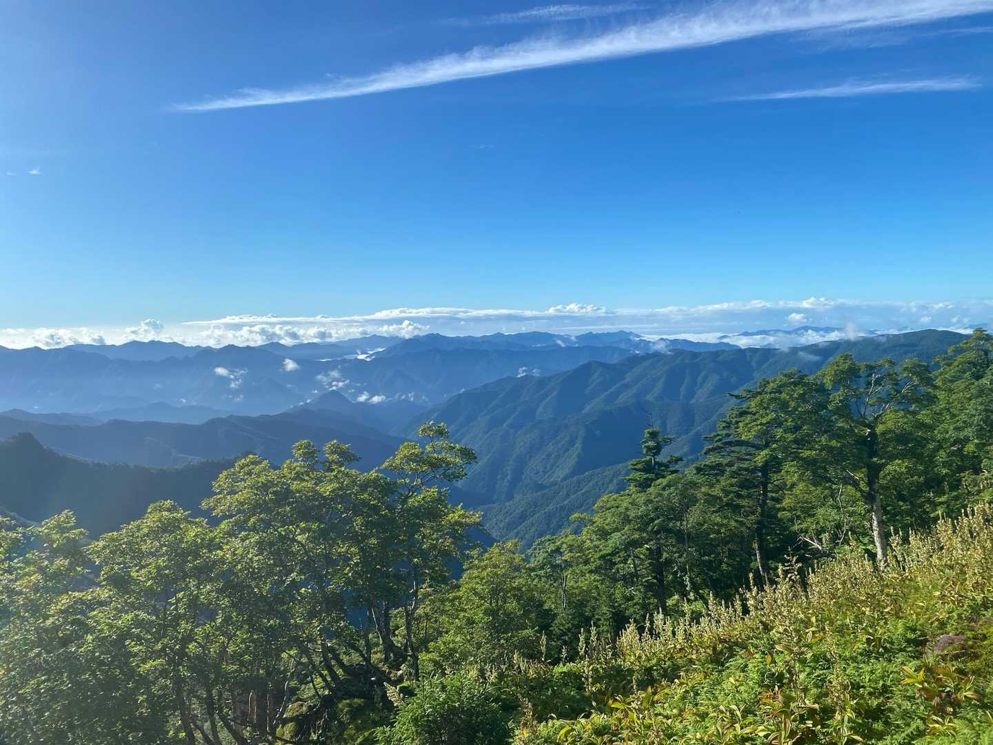 弥山登山口-弁天ノ森-聖宝ノ宿跡-弥山-八経ヶ岳-明星ヶ岳 往復コースの写真