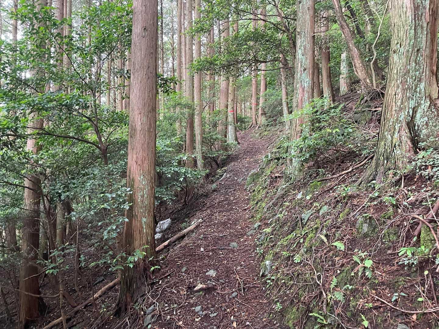 このあたりはトラバース