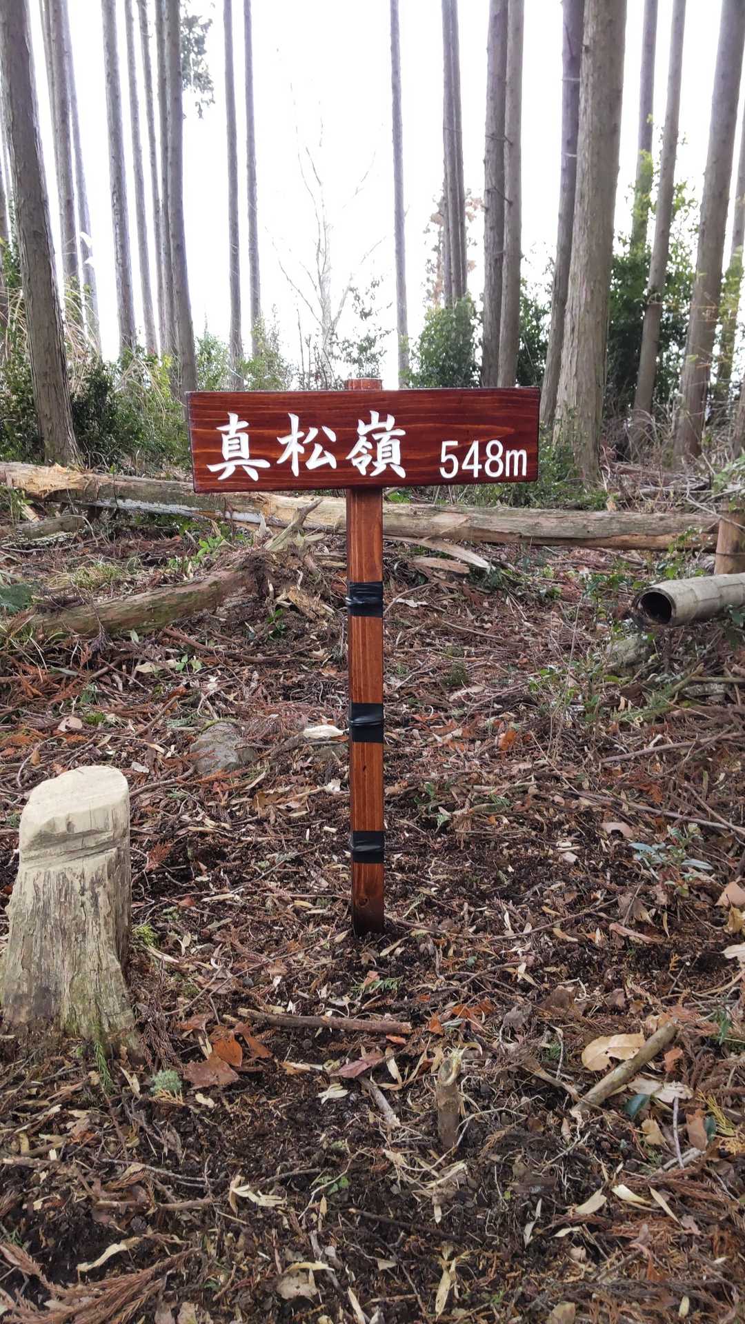 真松嶺  設置完了です