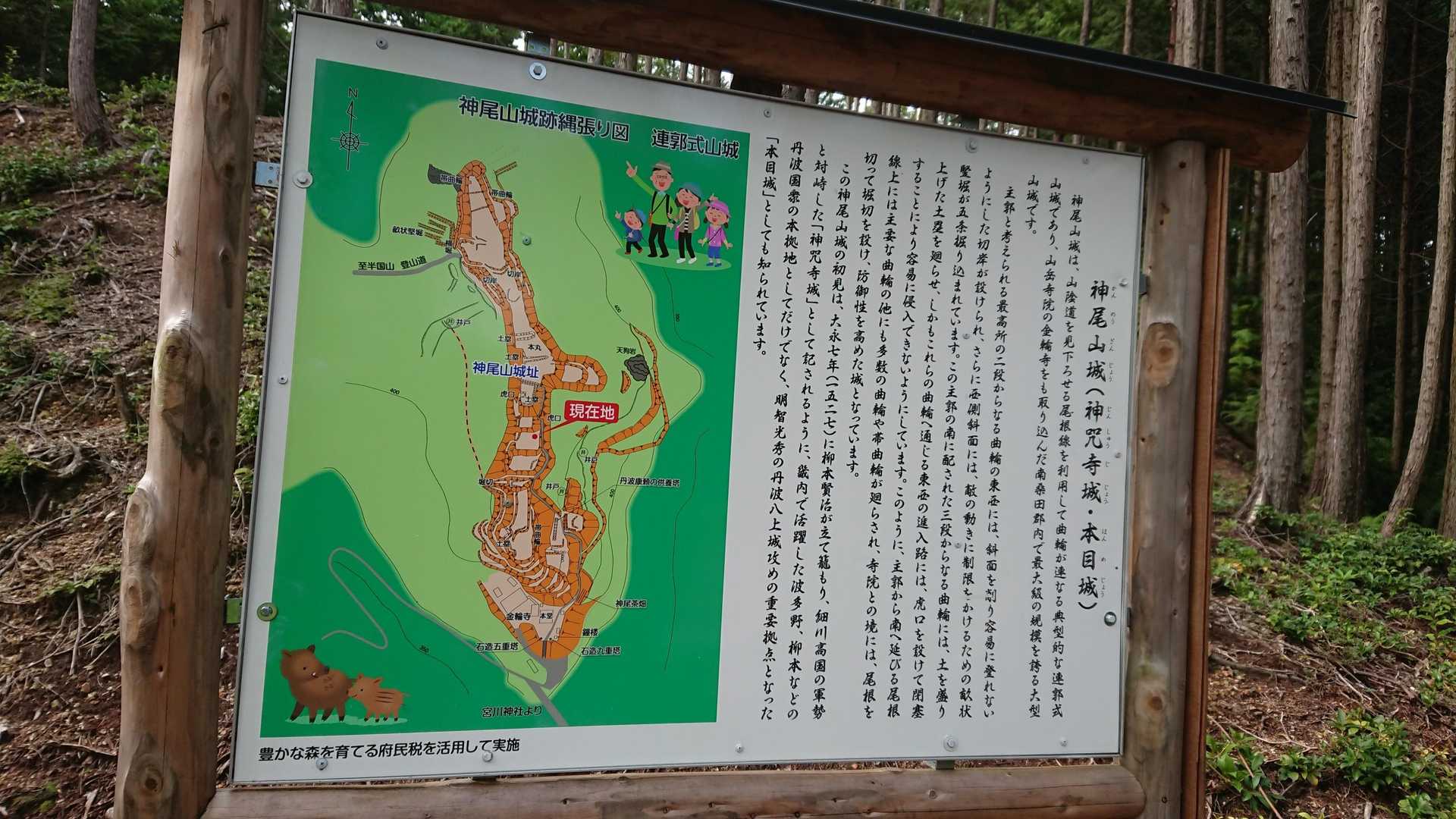 下り道の途中、標高400m付近に神尾山城（かんのおさんじょう）跡があります。柳本賢治の居城で、その後明智光秀の丹波攻めの重要拠点になったと云われています。