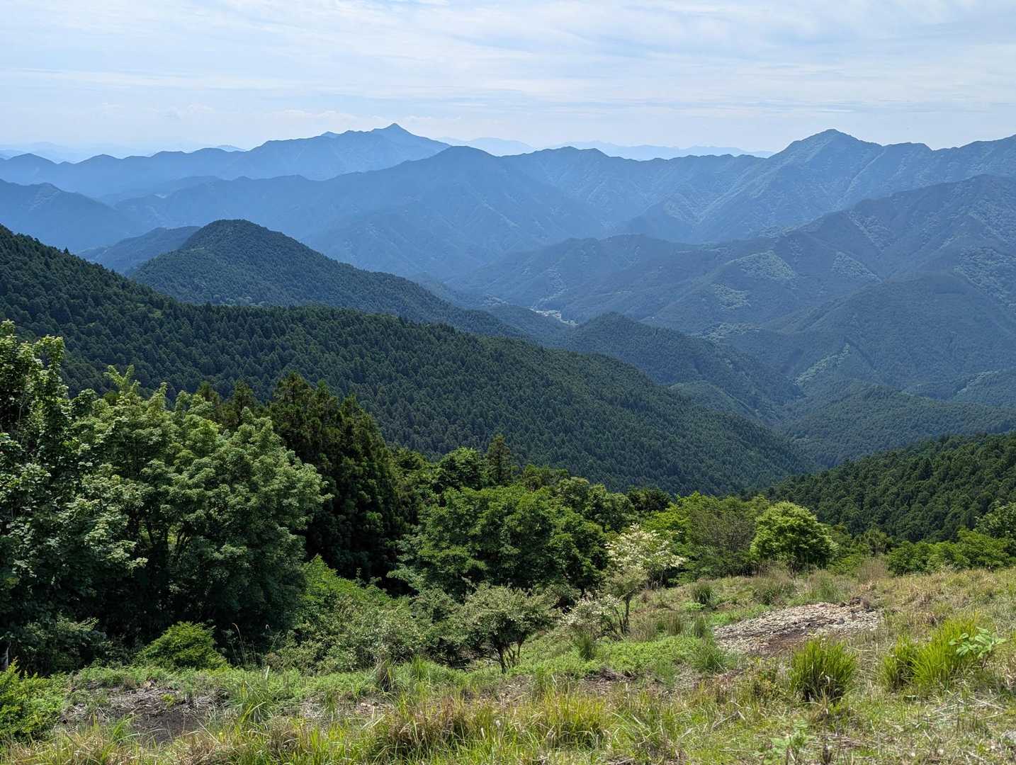 お花鑑賞して、山鑑賞して