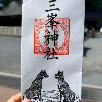 これは娘と同じお守り。

あともう一つ神社マニアの友達にもオススメされた
『氣守り』を買いました❣️