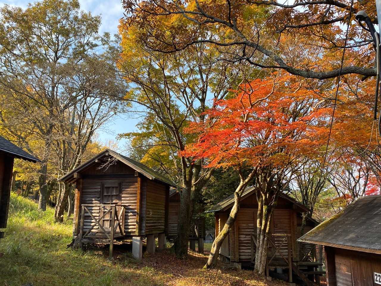 紅葉とバンガローがいい感じ♪
久しぶりバンガローに泊まりたくなってきた