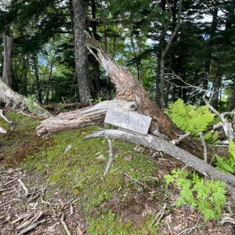 無岳山で休憩　行動食はほぼカロリーメイト
今日のルートが変わったので、かろうじて電波が入ったここでkeiさんレポの軌跡を参考にさせていただく😇