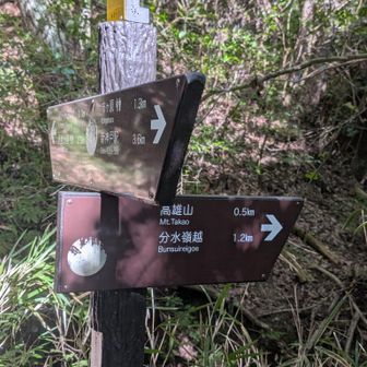 初めての高雄山へ向かいます〜👍
