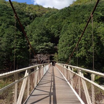 橋を渡ります