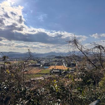 標高は低いけど、眺めはとてもいいです