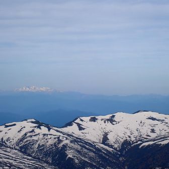 遠くに白く浮かぶ白山に