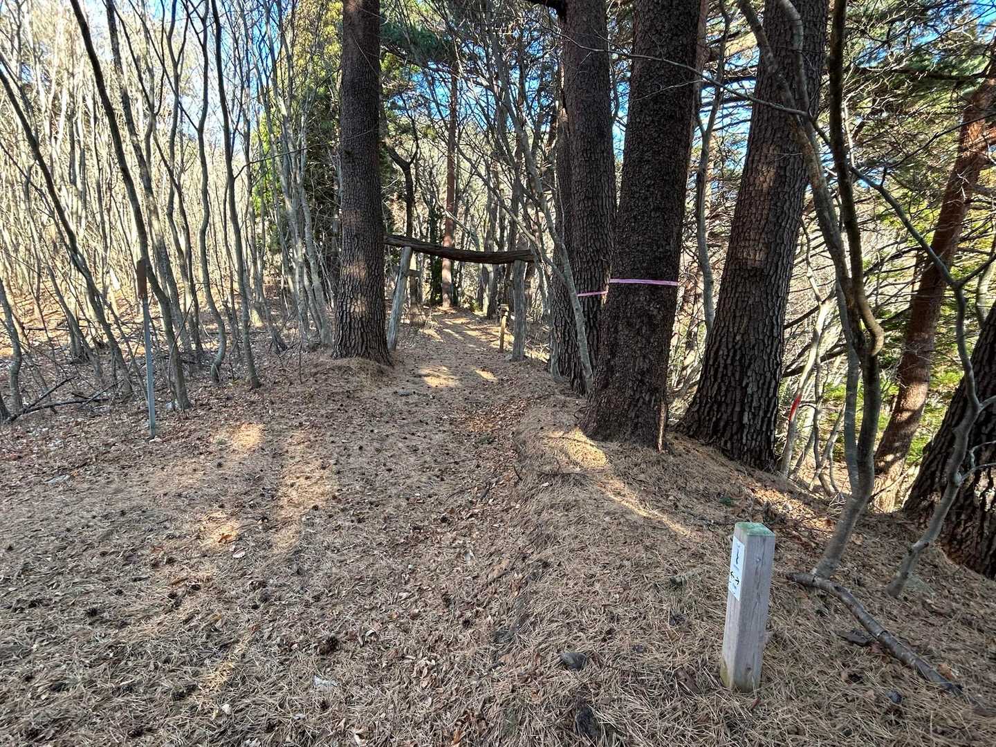 潮風トレイル北上中のちぇい師にお会いしました。唐桑半島、大船渡工場地帯、そして今回で三回目。この先も難所が続きますが蕪嶋目指して頑張って下さい！