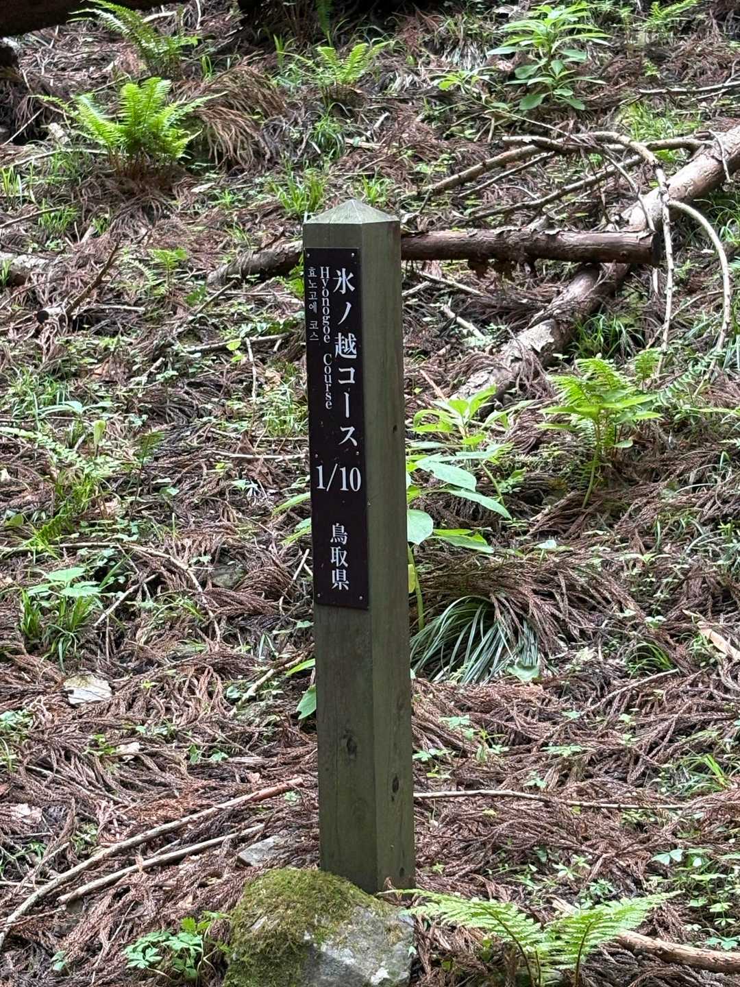 氷ノ山 往復コースの写真