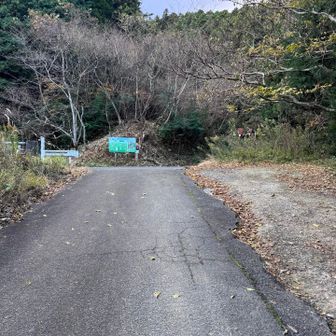 なーんだここが駐車場か！行けたじゃないかと思うけど、離合絶対無理な車道だった