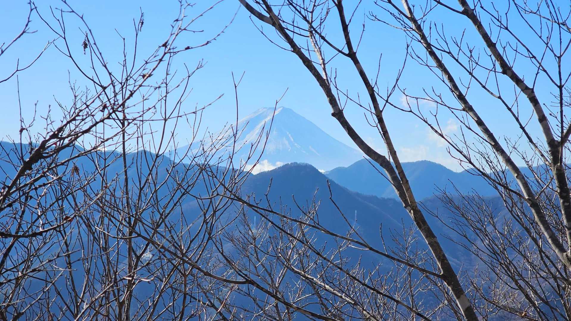 笹子雁ヶ腹摺山-笹子峠-矢立の杉 周回コースの写真