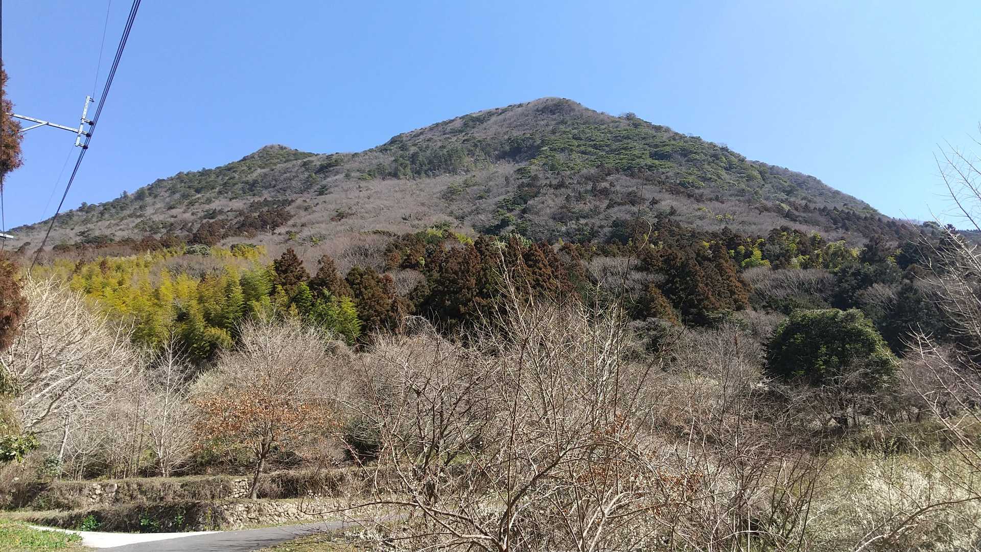 ホント、最恐！