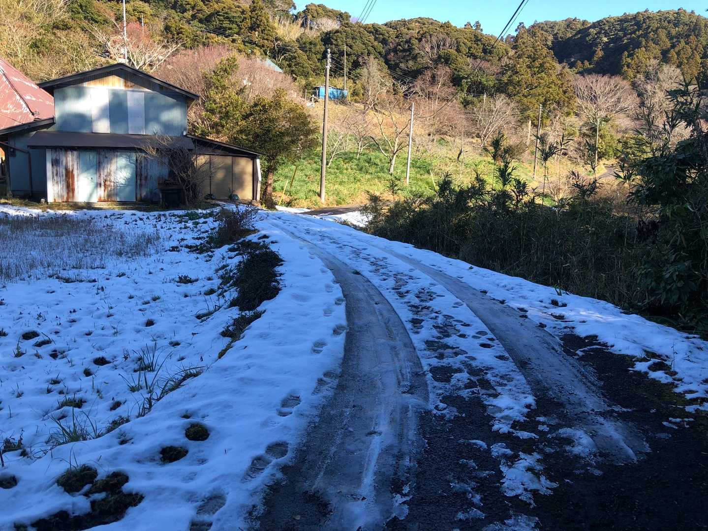 日陰の林道は、雪が残っていました。