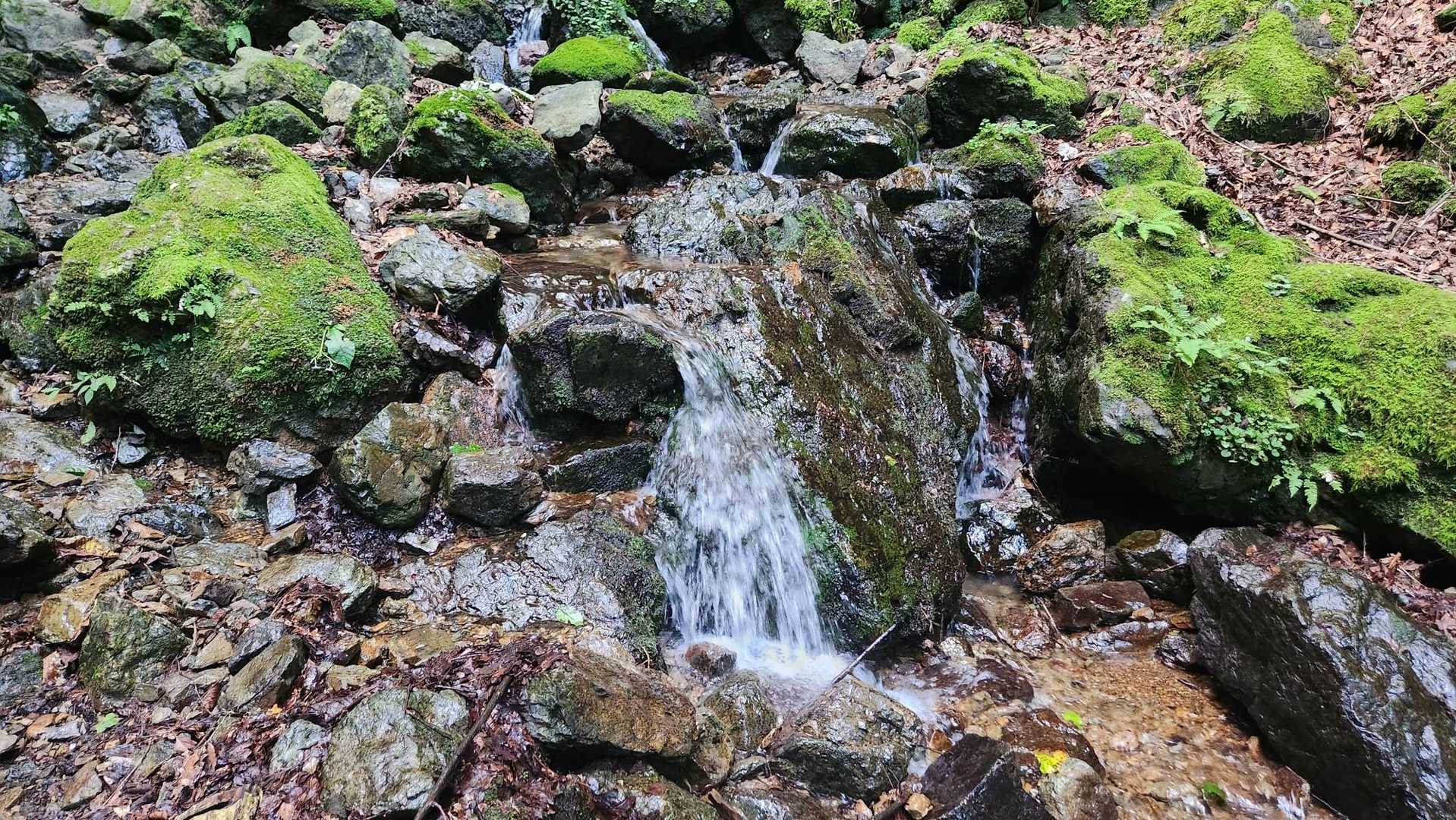 駒形登山口-鳴神山 往復コースの写真