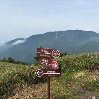 先ずは第一チェックポイント千両山⛰️
遠くに本日の目的地恵那山です。
足の調子は良さそうとのこと。
さらに進みます🚶‍♀️