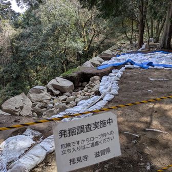 発掘調査してるのね🚧