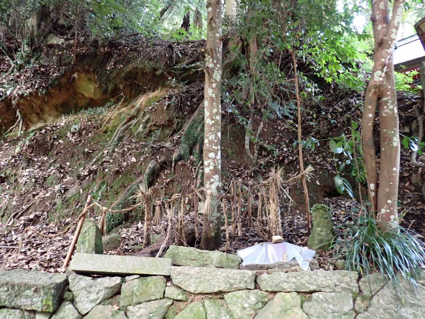 
この綱は何かの神事でしょうか