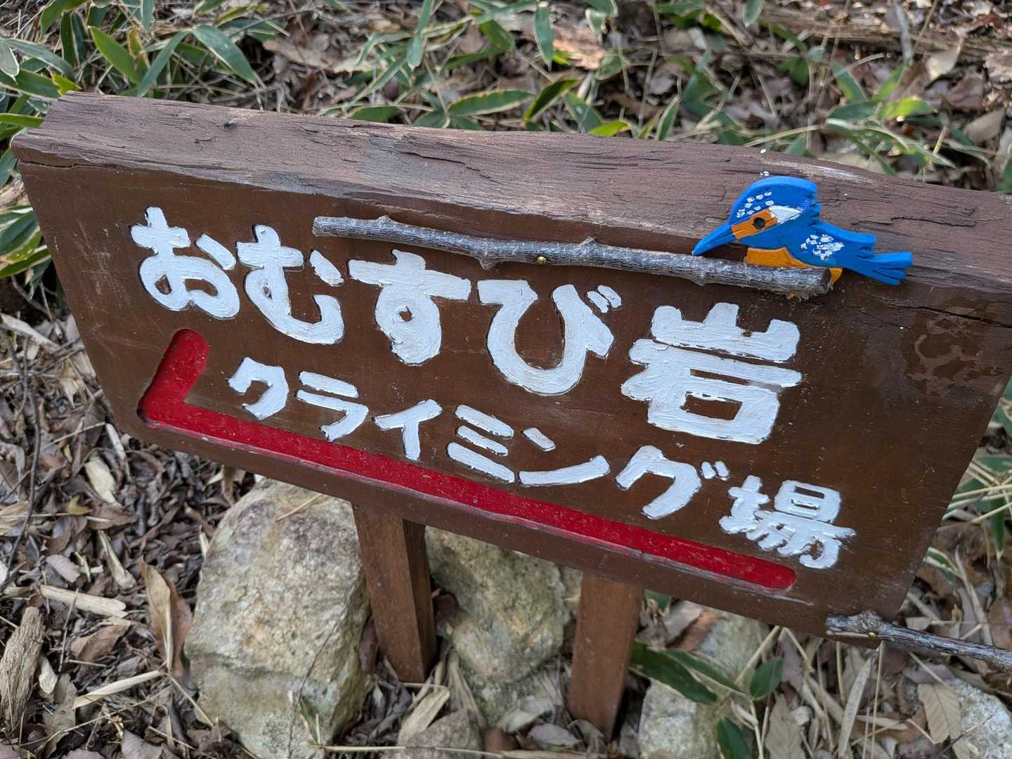 こちらへ行って、とても怖い目に遭って、半ベソで登山道に戻る