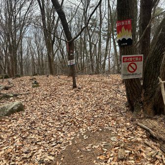 計画通り周回で下山する事にしました