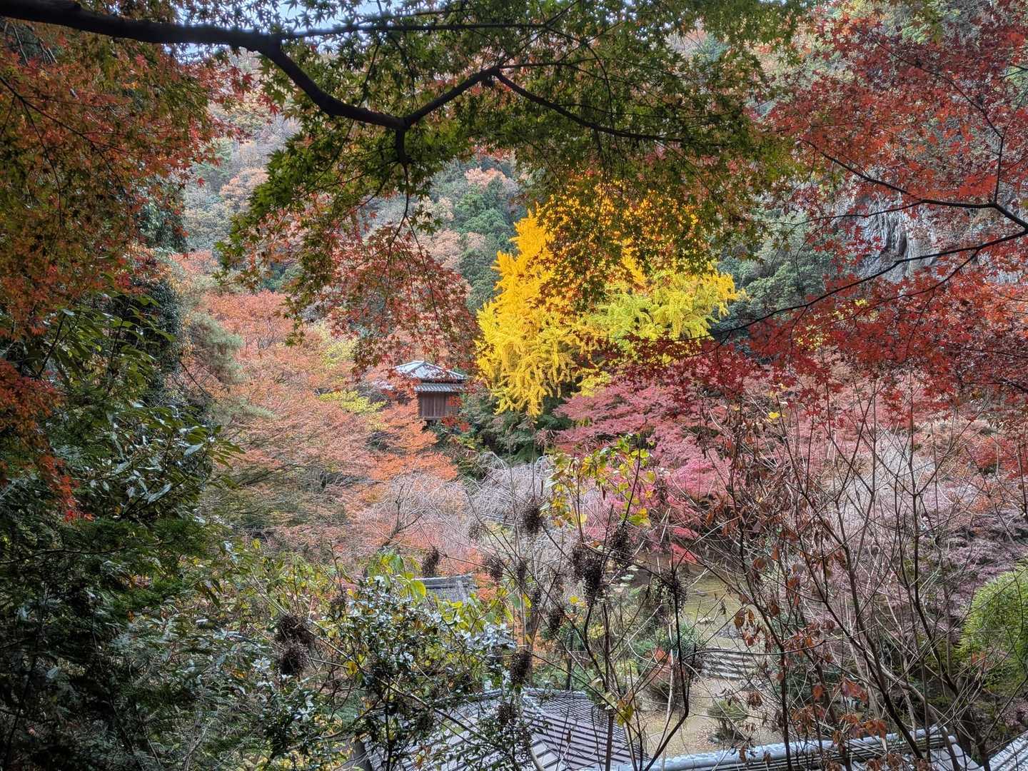 いやーなかなかの景観、