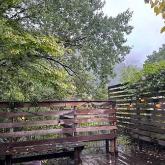 雨でだいぶしっとりしてたのでテラス席に。