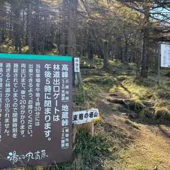 登山スタート
林道のゲートが5時に閉鎖されるようなのでお気をつけ下さい❗️
