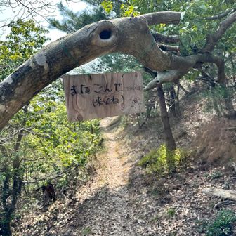 綺麗な登山道でありがとうございました。